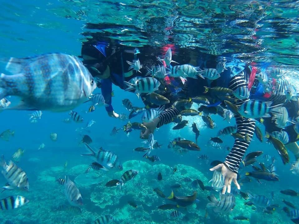 Anak-anak berenang Bersama Ikan di Pulau Kapas